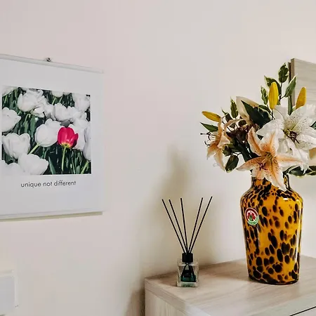Appartement Henson Tortone